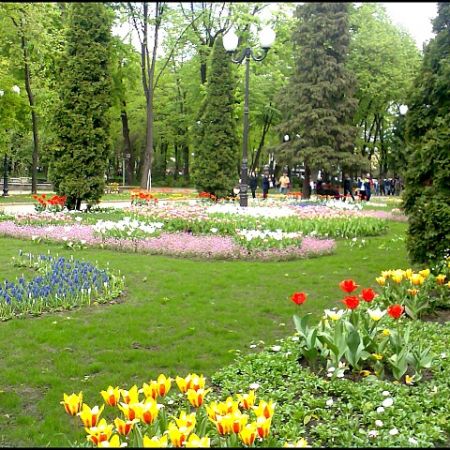 Flori in parc